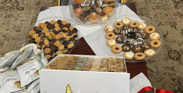 borg-el-arab-egypt-airports-services-private hall-5