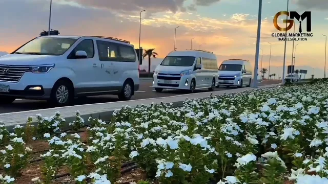 Looking for a journey filled with comfort and privacy?

With GM, sit back, relax, and enjoy a premium transportation experience tailored just for you.

Modern fleet of vehicles • Professional drivers • Punctual and reliable service

✓ Covering Egypt’s most popular airports

Welcome! Make yourself comfortable and enjoy every moment of your journey.

**Our dedicated WhatsApp numbers:**

📞 +20 110 001 1391
📞 +20 110 001 1392

🌐 Website:
gmtravelsolution.com/our-services/

⭐ Customer Reviews:
bit.ly/Gmtripadvisor